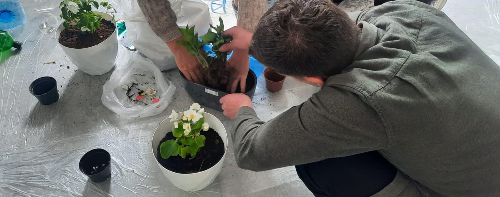 International Family Day, Young People Engage Together with Parents in Support of the Environment