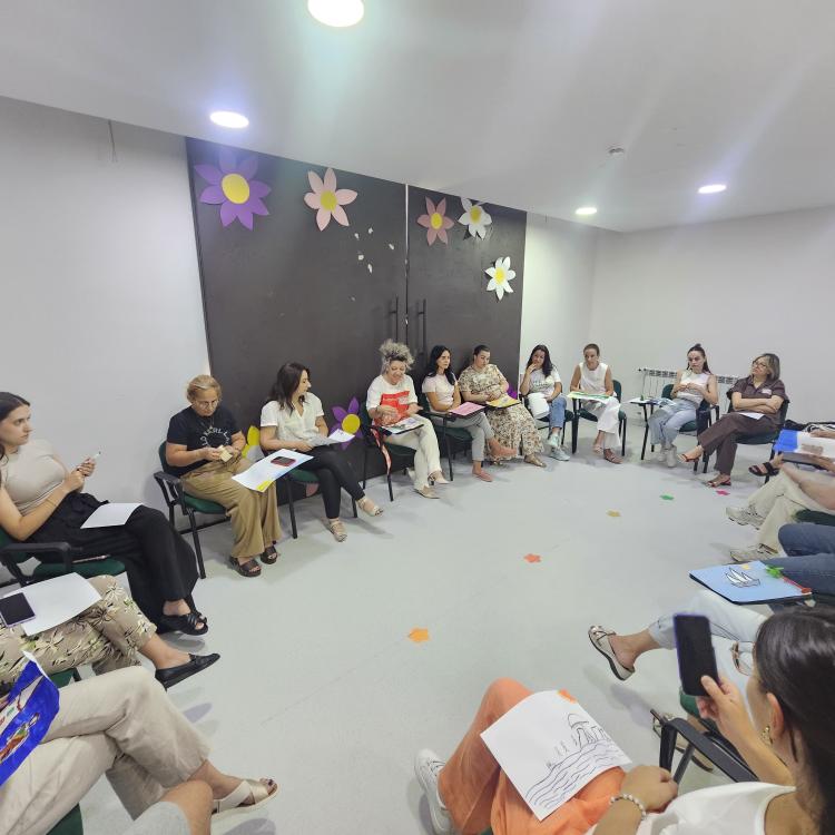 Investojmë në kapacitetet e profesionistëve të Qendrave Komunitare